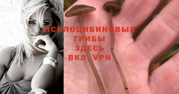 не бодяженный Абинск
